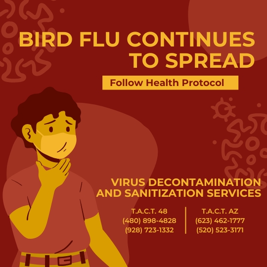 Dangers of Bird Flu and the Need for Professional Biohazard Cleaning